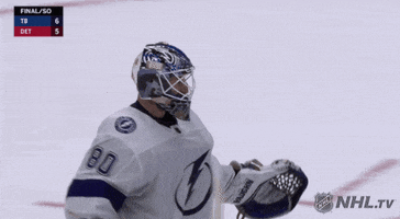 happy ice hockey GIF by NHL