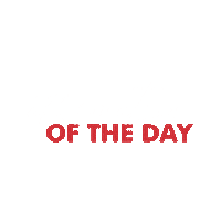 Affirmation Of The Day Sticker by BishCollective