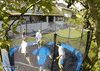 trampoline fail GIF