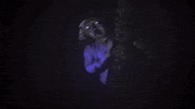 Good Night Goodbye GIF by Cappa Video Productions