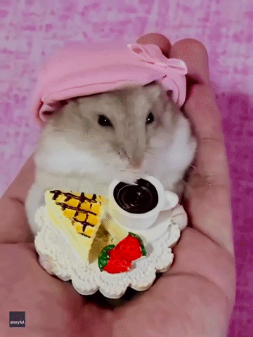 Sophisticated Hamster Enjoys Afternoon Tea
