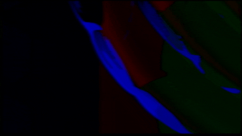 Video Art GIF by cskonopka
