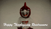 Rcnj Ramapocollege GIF by Ramapo College of New Jersey