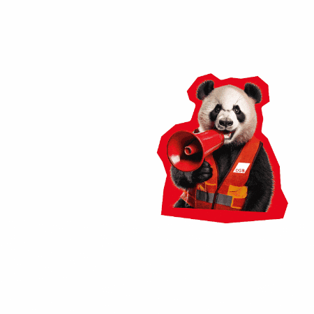 Panda Bear GIF by Deutscher Gewerkschaftsbund (DGB)