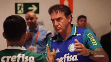 cuca enea GIF by SE Palmeiras
