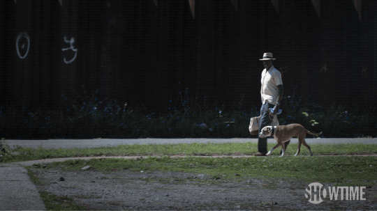 season 1 trice GIF by The Chi
