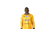 Football Goalkeeper Sticker by La Berrichonne de Châteauroux