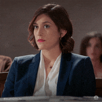 Bluff City Law GIF by NBC