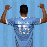 New York City Fc Reaction GIF by NYCFC