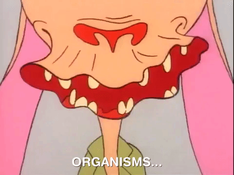 ren and stimpy nicksplat GIF