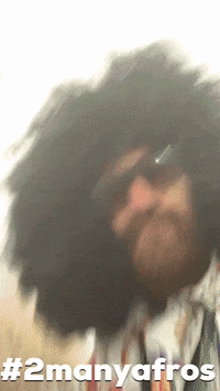 lakefest disco afro lakefest GIF