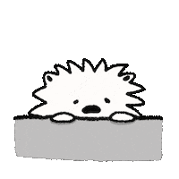 Sorry Look Around Sticker