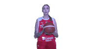 Basketball Turkey Sticker by Türkiye Basketbol Federasyonu