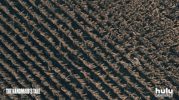 handmaidstale GIF by HULU