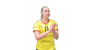 Volleyball Sticker by Draisma Dynamo