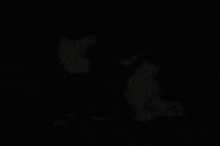 Charlie Brown Halloween GIF by Peanuts