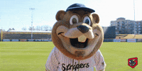dab chopper GIF by Gwinnett Stripers