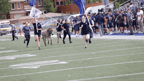coschoolofmines giphyupload football mascot marvin GIF