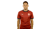 Goal Ceskarepre Sticker by 2score