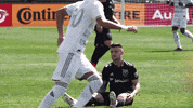 soccer mls GIF by D.C. United