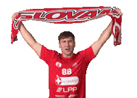 Rokomet Sticker by RD Slovan