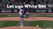 Major League Baseball GIF