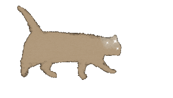 Cat Star Sticker by Illustrator.aki