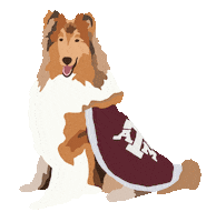 Texas Am University Football Sticker