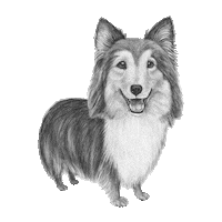 Dog Blinking Sticker by AniCura Nederland