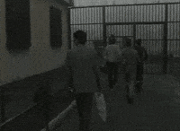 Film Freedom GIF