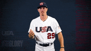 Pro GIF by USA Baseball