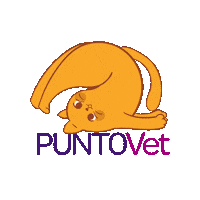 PuntoVet cat gato gatos mascotas Sticker