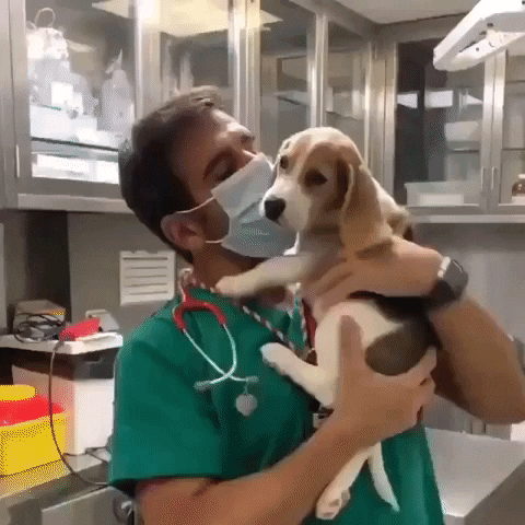 telebun giphygifmaker GIF