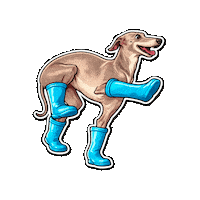 Fun Love Sticker by abana a cauda