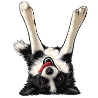 Fun Love Sticker by abana a cauda