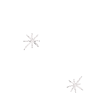 Sparkle Sticker by Studio MJ