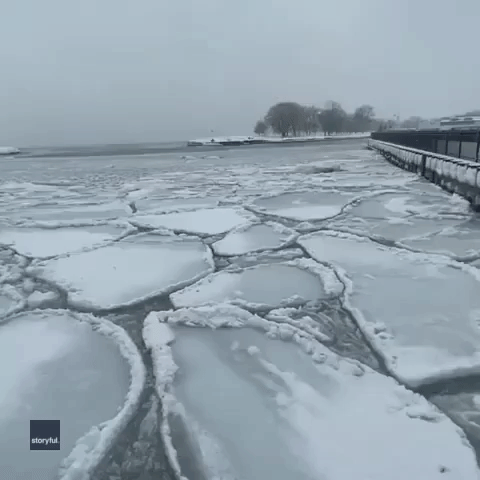 Pancake Ice Bobs in Lake Michigan as Arctic Blast Freezes Chicago