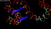 Art Love GIF by Oddcity