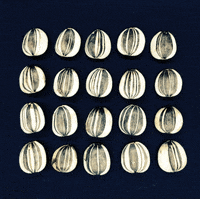 black and white halloween GIF by Julie Smith Schneider