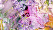 Mean Girls Pink GIF by Canek