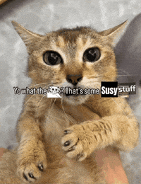 Mei Mei Vro GIF