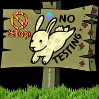 Cruelty Free Love GIF by The SOL Foundation