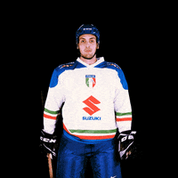federazioneghiaccio hockey ice wintersport sportinvernali GIF