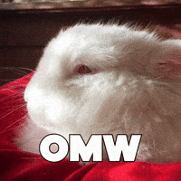 Running Late On My Way GIF by Sealed With A GIF