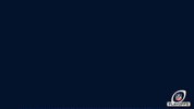 GIF by Seattle Seahawks