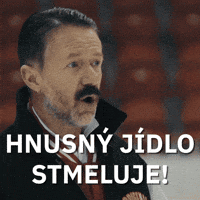Hokej Lajna GIF by Seznam.cz