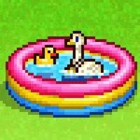 Pool Duck GIF