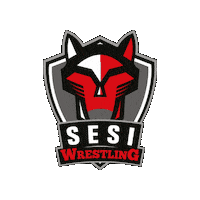 Sesispesporte Sticker by Sesi São Paulo