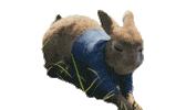 Hungry James Corden Sticker by Peter Rabbit Movie