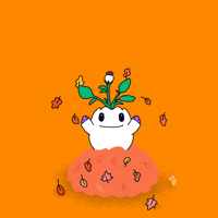 Its Fall GIF by Magic Eden